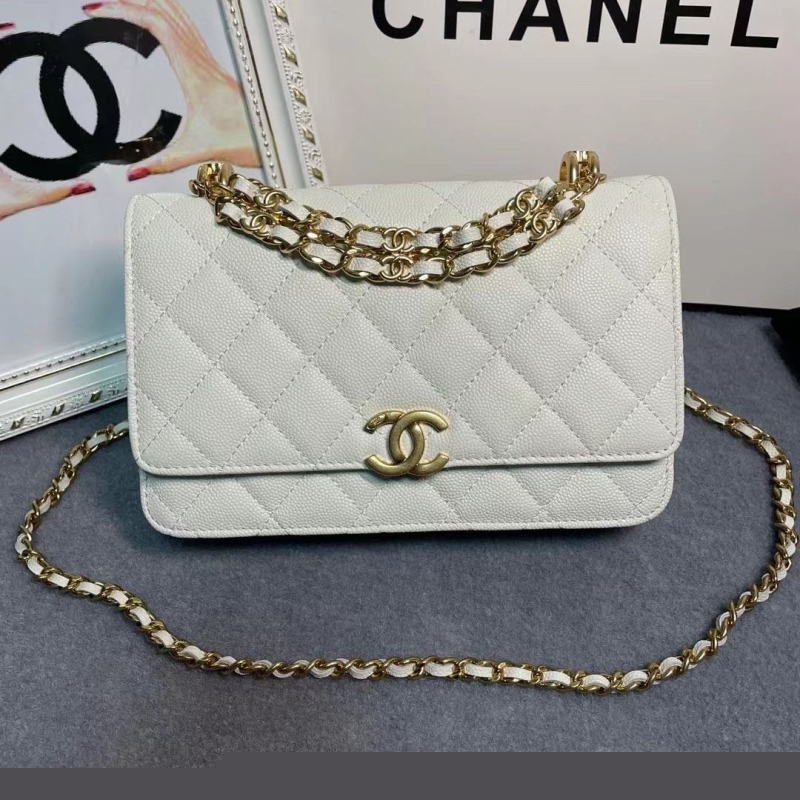 Ch*el 19 bags